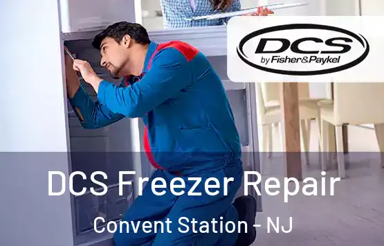  DCS Freezer Repair Convent Station - NJ