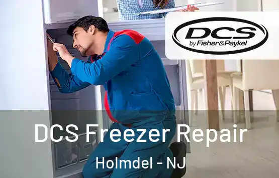  DCS Freezer Repair Holmdel - NJ