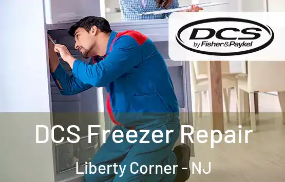  DCS Freezer Repair Liberty Corner - NJ