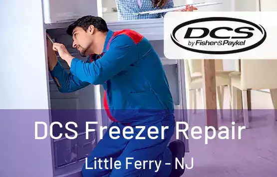  DCS Freezer Repair Little Ferry - NJ