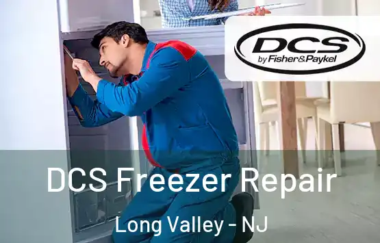  DCS Freezer Repair Long Valley - NJ