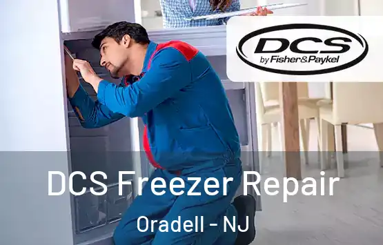  DCS Freezer Repair Oradell - NJ