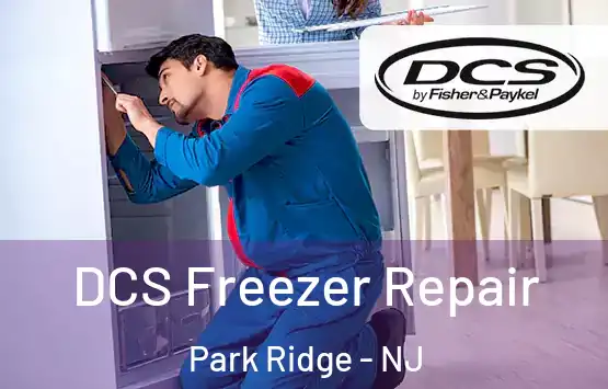  DCS Freezer Repair Park Ridge - NJ