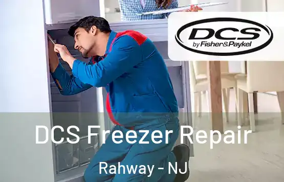  DCS Freezer Repair Rahway - NJ