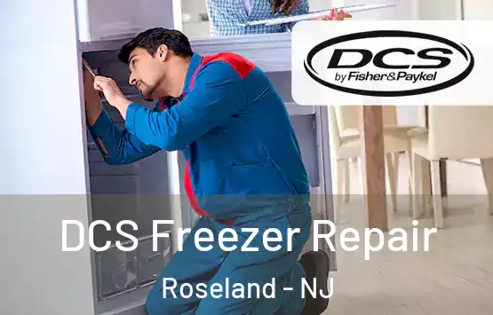  DCS Freezer Repair Roseland - NJ