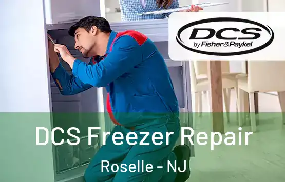  DCS Freezer Repair Roselle - NJ