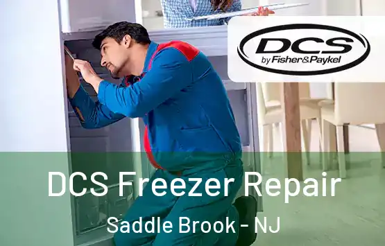  DCS Freezer Repair Saddle Brook - NJ