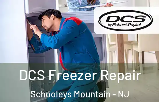  DCS Freezer Repair Schooleys Mountain - NJ