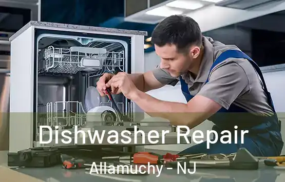  Dishwasher Repair Allamuchy - NJ