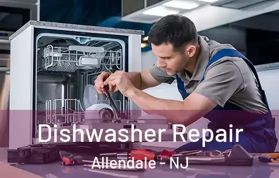  Dishwasher Repair Allendale - NJ