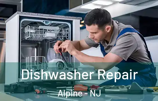  Dishwasher Repair Alpine - NJ