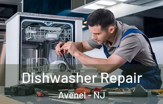  Dishwasher Repair Avenel - NJ