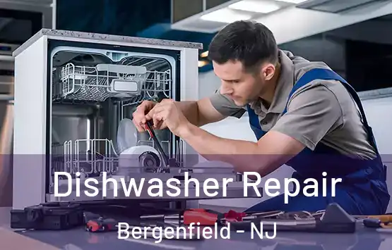  Dishwasher Repair Bergenfield - NJ