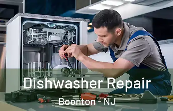  Dishwasher Repair Boonton - NJ