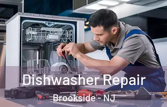  Dishwasher Repair Brookside - NJ
