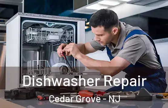  Dishwasher Repair Cedar Grove - NJ