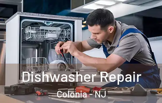  Dishwasher Repair Colonia - NJ