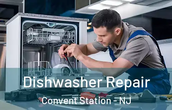  Dishwasher Repair Convent Station - NJ