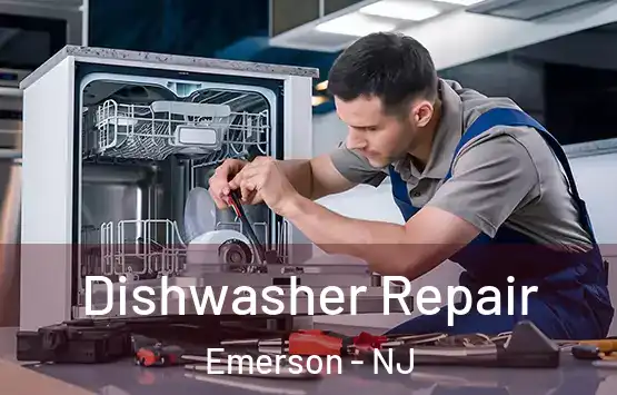 Dishwasher Repair Emerson - NJ