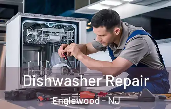  Dishwasher Repair Englewood - NJ