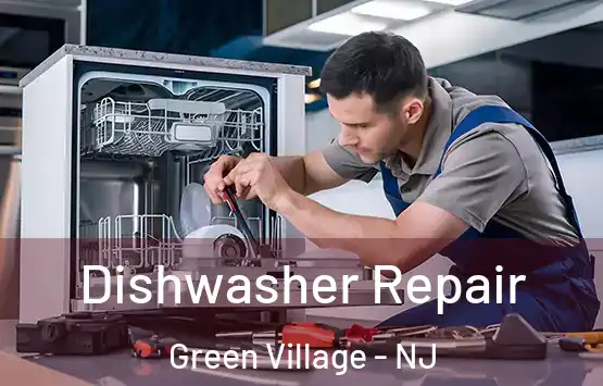  Dishwasher Repair Green Village - NJ