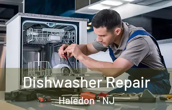  Dishwasher Repair Haledon - NJ