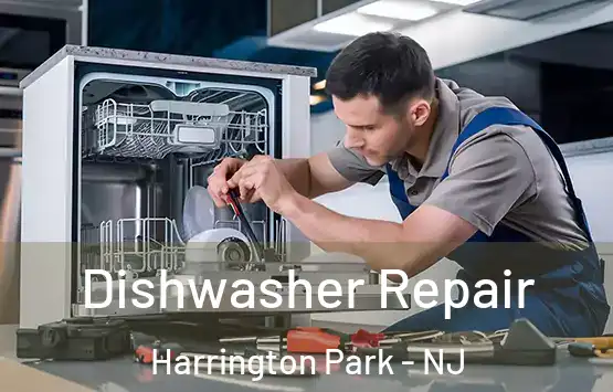  Dishwasher Repair Harrington Park - NJ