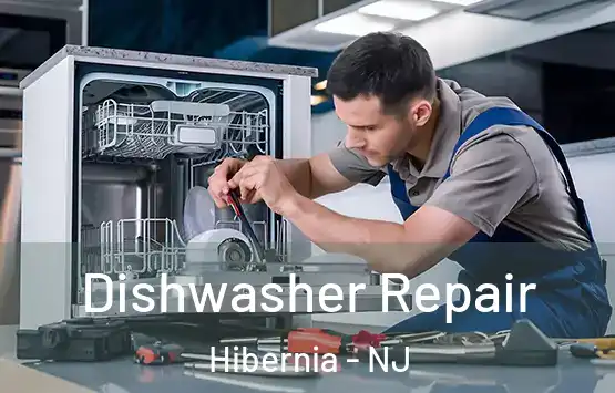  Dishwasher Repair Hibernia - NJ