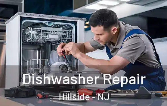  Dishwasher Repair Hillside - NJ