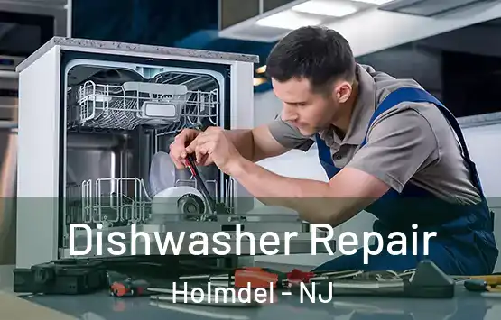  Dishwasher Repair Holmdel - NJ