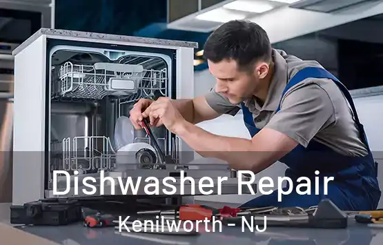  Dishwasher Repair Kenilworth - NJ