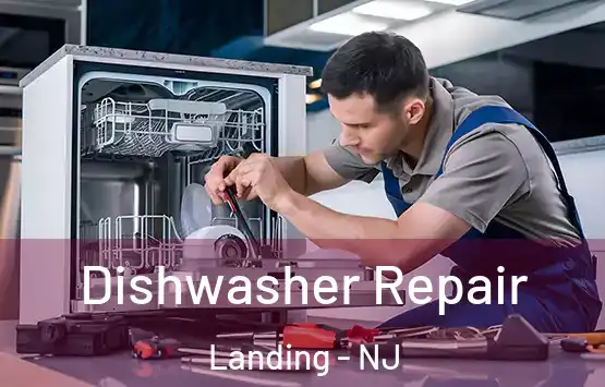  Dishwasher Repair Landing - NJ