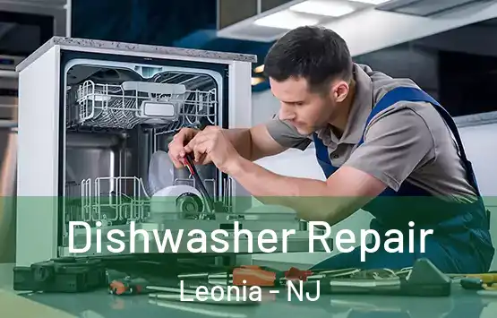  Dishwasher Repair Leonia - NJ
