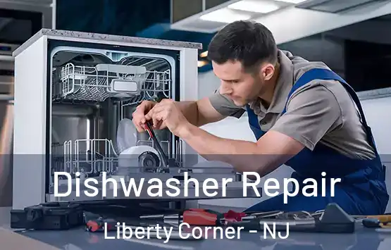  Dishwasher Repair Liberty Corner - NJ