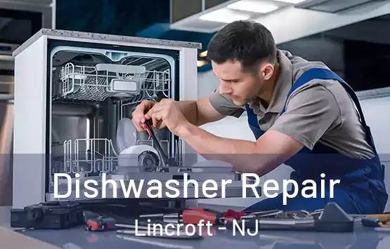 Dishwasher Repair Lincroft - NJ