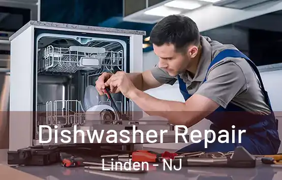  Dishwasher Repair Linden - NJ