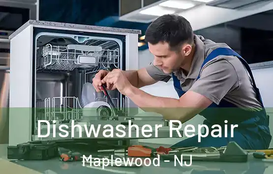  Dishwasher Repair Maplewood - NJ