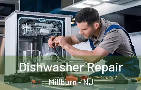  Dishwasher Repair Millburn - NJ