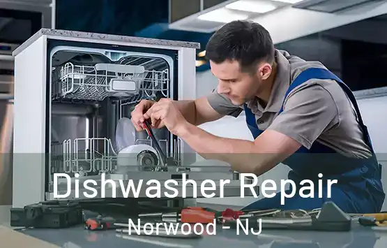  Dishwasher Repair Norwood - NJ