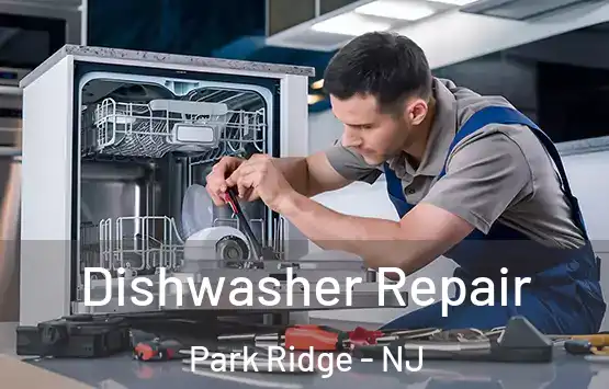  Dishwasher Repair Park Ridge - NJ