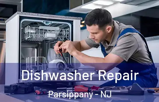  Dishwasher Repair Parsippany - NJ