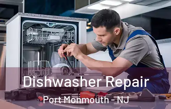  Dishwasher Repair Port Monmouth - NJ