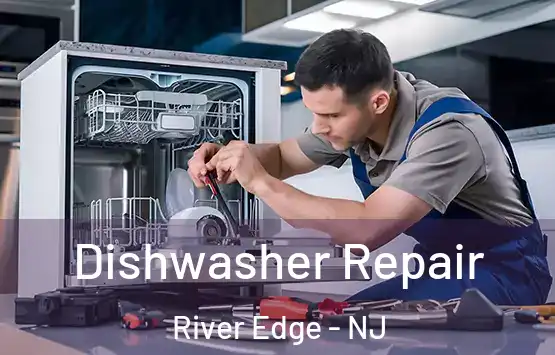  Dishwasher Repair River Edge - NJ