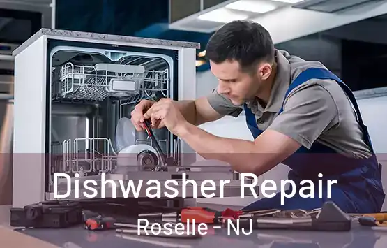  Dishwasher Repair Roselle - NJ