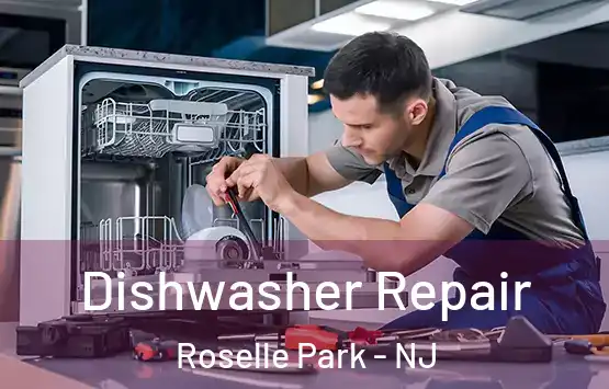  Dishwasher Repair Roselle Park - NJ