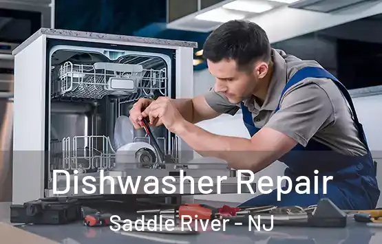  Dishwasher Repair Saddle River - NJ