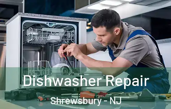  Dishwasher Repair Shrewsbury - NJ