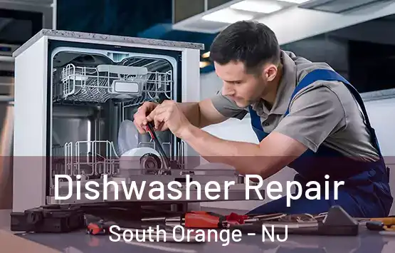  Dishwasher Repair South Orange - NJ