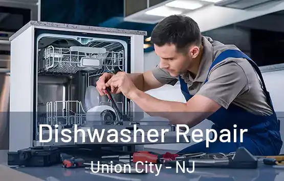  Dishwasher Repair Union City - NJ