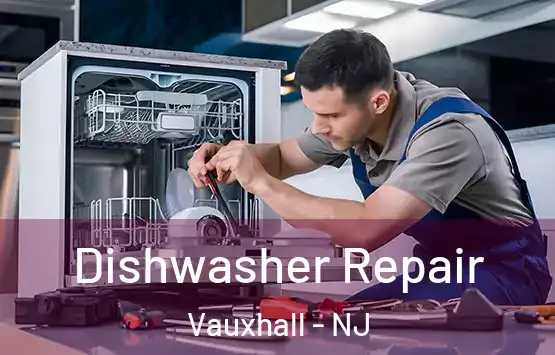  Dishwasher Repair Vauxhall - NJ